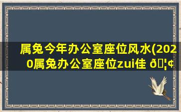 属兔今年办公室座位风水(2020属兔办公室座位zui
佳 🦢 位置)